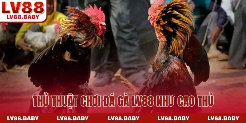 Thủ thuật chơi đá gà LV88 như cao thủ